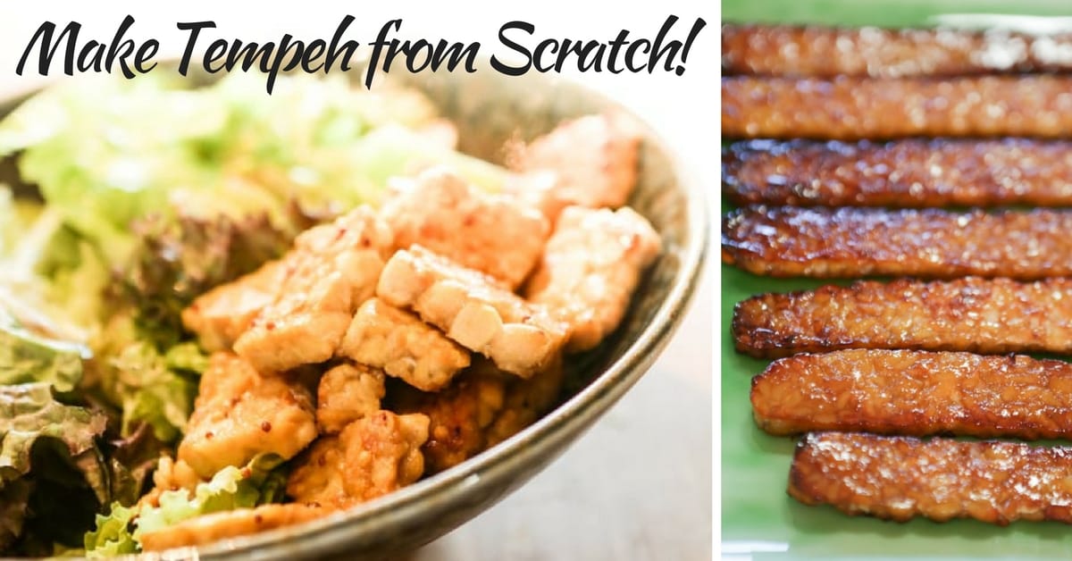 FB Make Tempeh from Scratch Fermentation Recipes