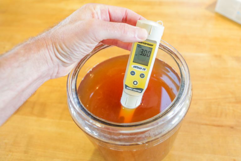 pH level for Kombucha What is the correct level? Fermentation Recipe
