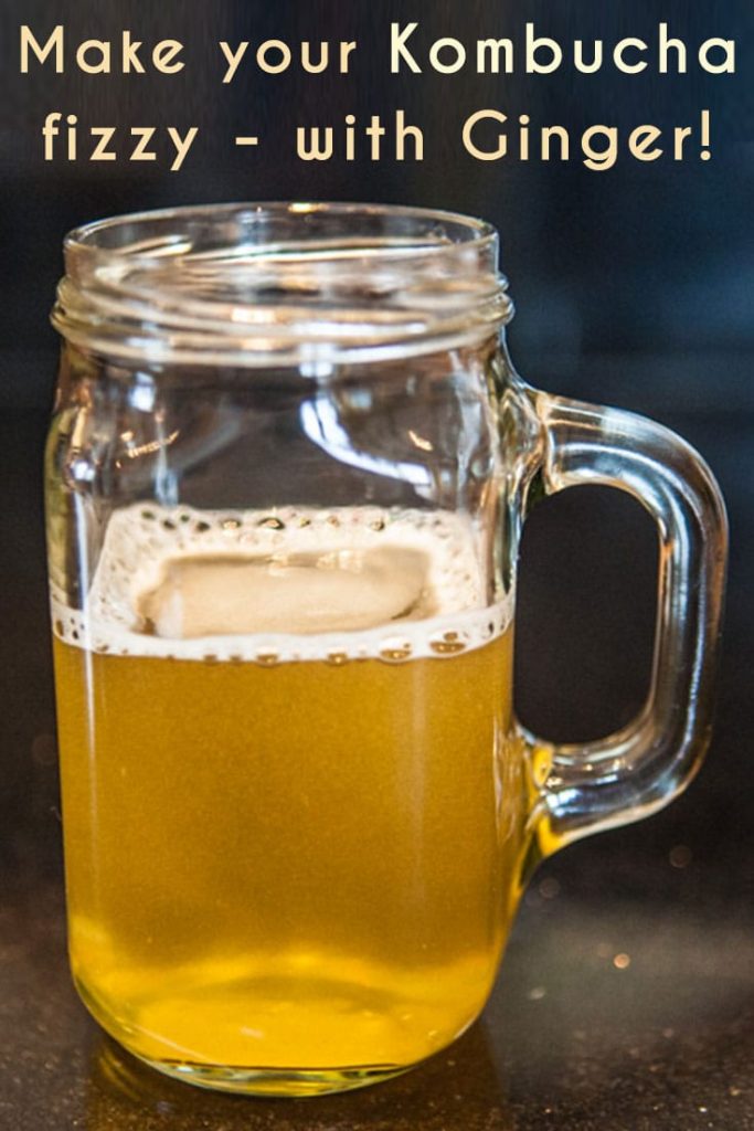 Making Fizzy Kombucha Secondary Ferment using Ginger