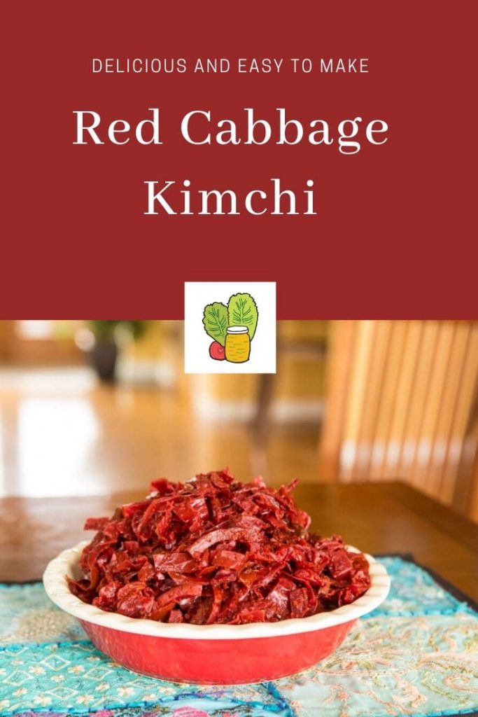 Red Cabbage Kimchi Fermentation Recipe