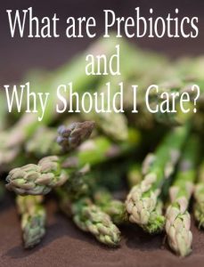 What Are Prebiotics and Why Should I Care
