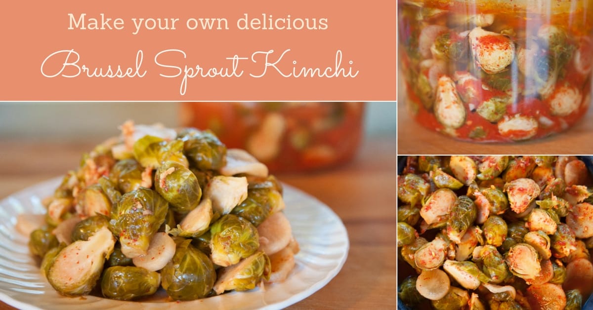 Brussel Sprout Kimchi Fermentation Recipe