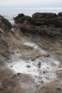 evaporated sea water forms into salt crystals on the rocks near my home